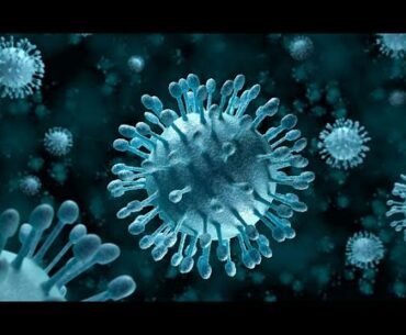 Common Cold Viruses Can Teach the Immune System to Recognize COVID-19