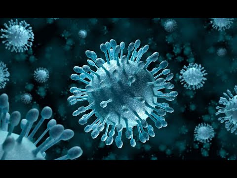 Common Cold Viruses Can Teach the Immune System to Recognize COVID-19