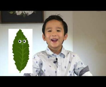 Health Trivia - Kids Edition (Kale Chips and Kale Smoothie by AJ)