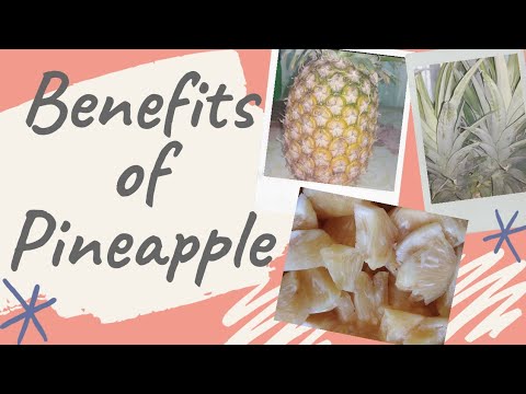 BENEFITS OF PINEAPPLE | Mavy Dz