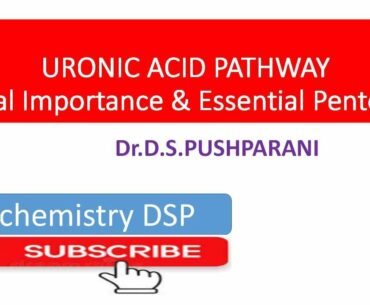 Uronic acid Pathway| Carbohydrate Metabolism| D-Glucuronic acid| Essential Pentosuria| Vitamin C