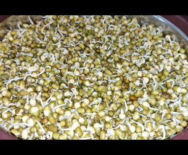 Immunity Boosting Green Gram salad/ How to sprout green gram in Tamil/How to make sprout in tamil