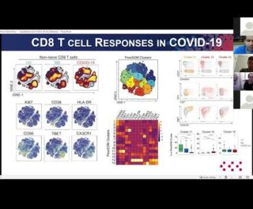 Divij Mathew (UP) Deep immune profiling of COVID-19 patients reveals distinct immunotypes with..