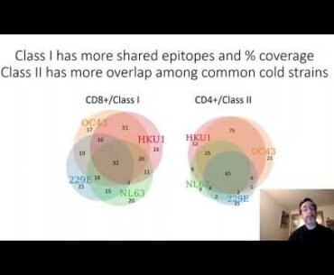 Cross-Reactive Immunogenicity of Coronavirus T-Cell Epitopes (1/2)