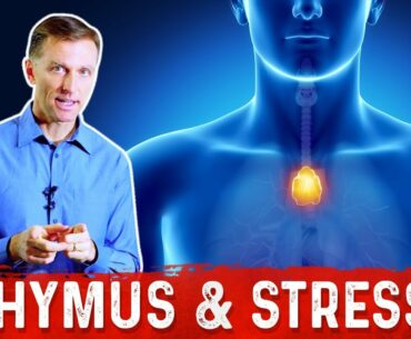 Stress, Thymus Gland and Your Immune System