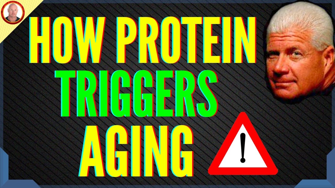 protein-and-aging-is-too-much-protein-bad-for-you-vitamin-rush