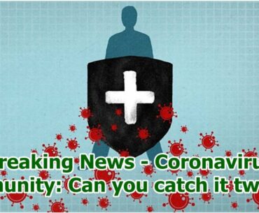 Breaking News - Coronavirus immunity: Can you catch it twice?