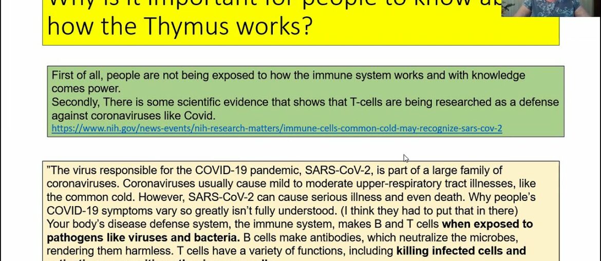 The Healthy Thymus and the Immune System