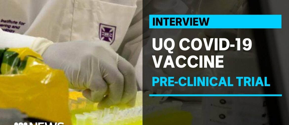 University of Queensland scientists release coronavirus vaccine pre-clinical trial data | ABC News