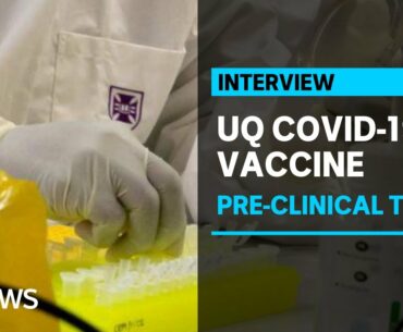 University of Queensland scientists release coronavirus vaccine pre-clinical trial data | ABC News