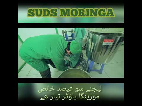 SUDS MORINGA