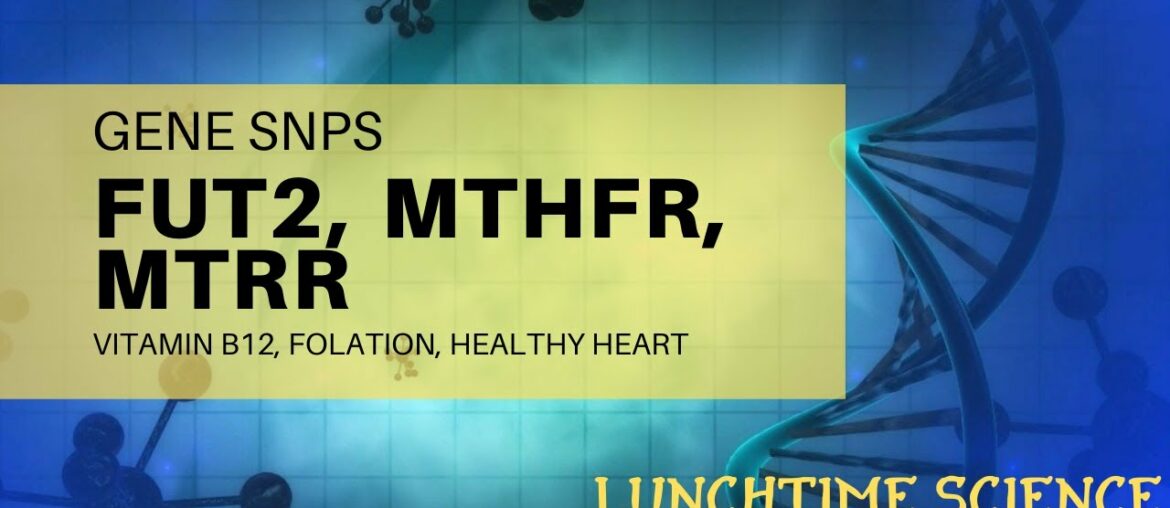 Healthy Heart FUT2, MTHFR, MTRR Vitamin B12, Folation,  July 17th   Dr  Jen Myers