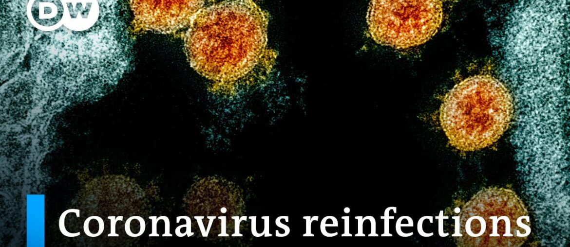 Coronavirus reinfections raise concerns | DW News