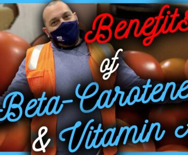 What is Beta-Carotene & Vitamin A? What are the BENEFITS in GOURMET TOMATOES?