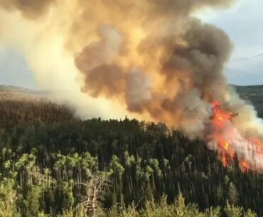 How wildfires are affecting COVID-19