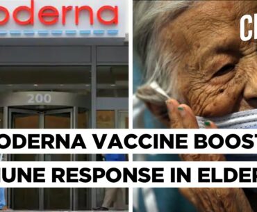 Why A Vaccine Developing Immune Response In Elderly Is Critical Against COVID-19?