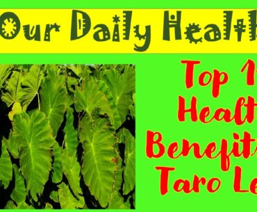 Top 11 Health Benefits of Taro Leaves