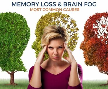 Memory Loss & Brain Fog: Most Common Causes