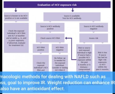 The Ultimate Guide To Editorial: Effect of Atorvastatin, Vitamin E and C on  - NATAP