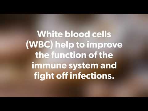 Coronavirus | White Blood Cells | Fatal