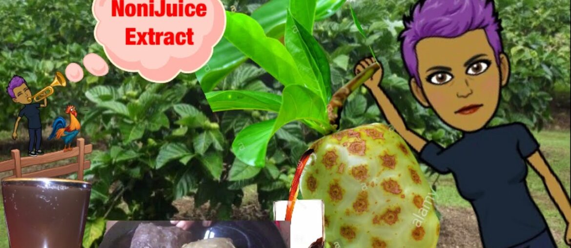 #urviewsmatters: NoNi Juice  |MY help fight Cancer   Weightloss stimulant immune system builder