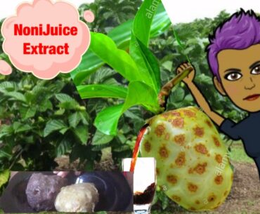 #urviewsmatters: NoNi Juice  |MY help fight Cancer   Weightloss stimulant immune system builder
