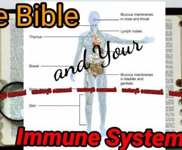 The Bible and Your Immune System