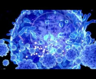 Scientists target corona virus immunity puzzle ! World News & Politics07