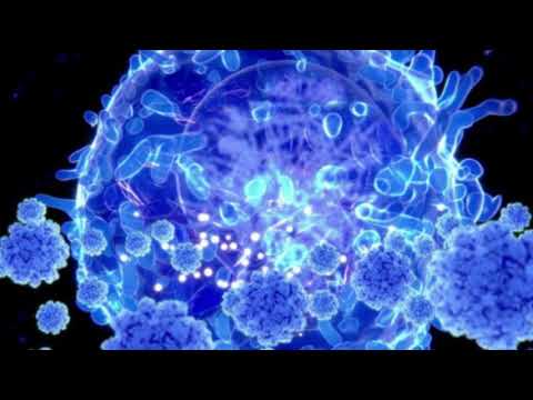 Scientists target corona virus immunity puzzle ! World News & Politics07