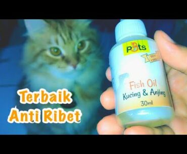 Vitamin bulu kucing tanpa harus repot cekokin, must have item! bikin bulu cepet panjang #racununyil