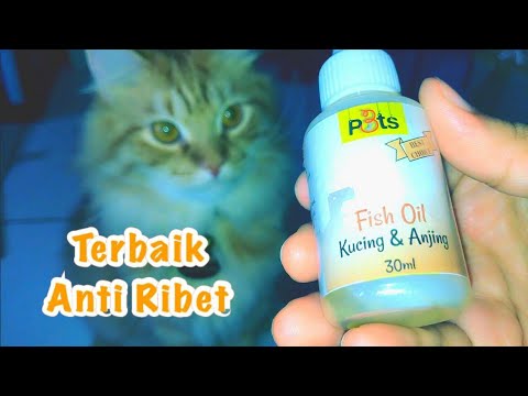 Vitamin bulu kucing tanpa harus repot cekokin, must have item! bikin bulu cepet panjang #racununyil