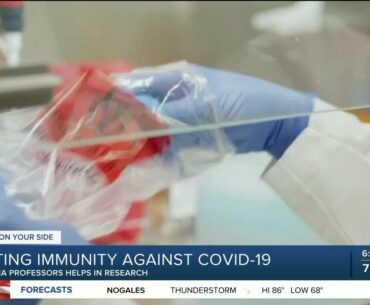 Lasting immunity against COVID-19, UArizona professors helps in research