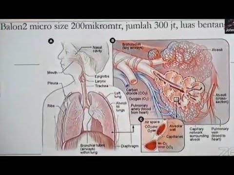 Natural Healing : Covid-19 dan cara meningkatkan daya tahan tubuh secara alami.