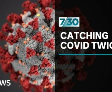 Can you catch COVID-19 twice? Dr Norman Swan investigates | 7.30