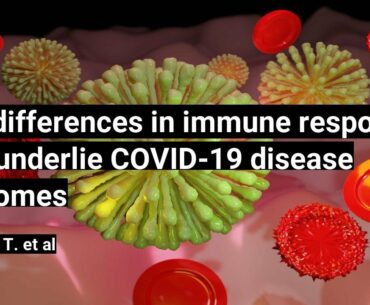 Sex differences in immune responses that underlie COVID 19 disease outcomes