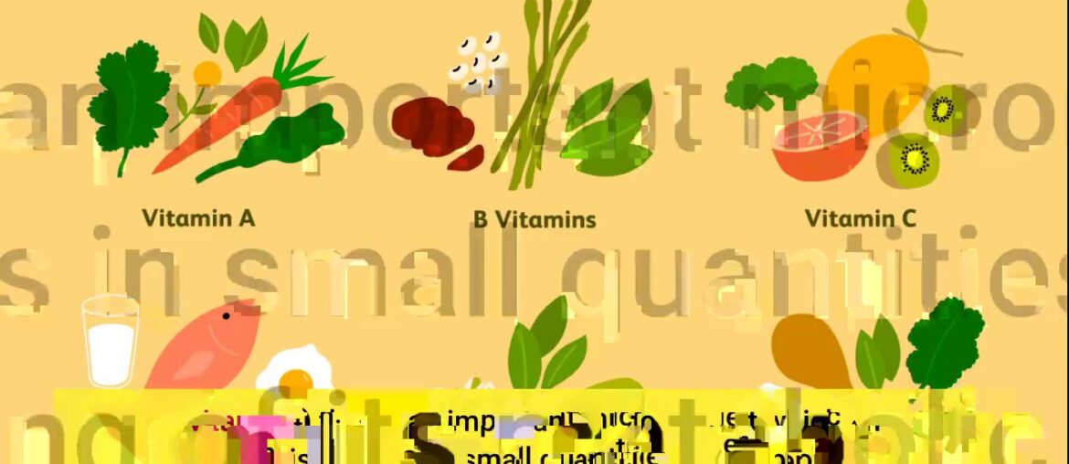 The 45-Second Trick For Vitamins Information Center - A comprehensive database of