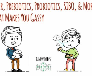Fiber, Prebiotics, Probiotics, SIBO, & More:  What Makes You Gassy & How to Help