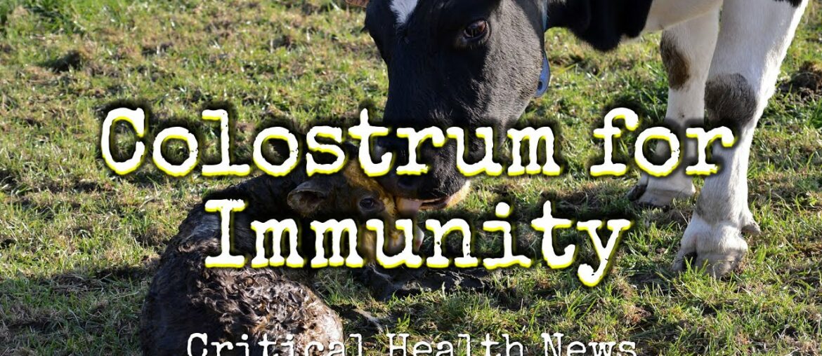 Colostrum for Immunity - Pharmacist Ben Fuchs - Moment of Truth