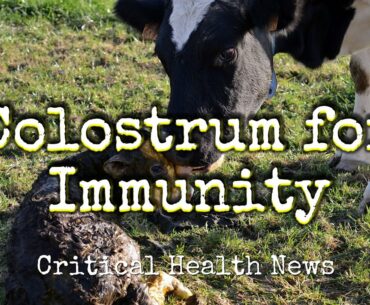 Colostrum for Immunity - Pharmacist Ben Fuchs - Moment of Truth