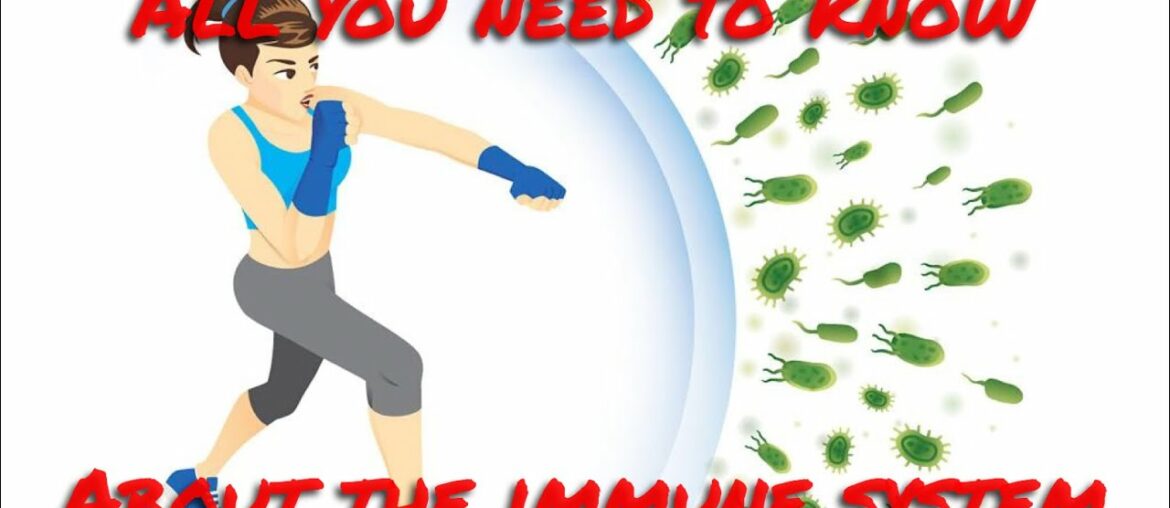 The Immune System | 20 Foods to Boost Your Immunity Naturally | CUISINES AND WELLNESS