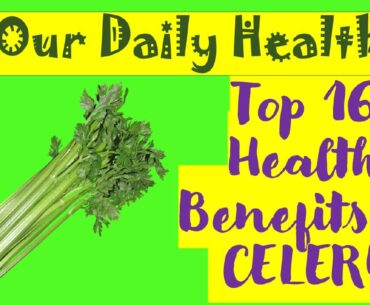 Top 16 Health Benefits of Celery