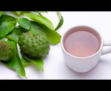 Drink Soursop Tea For These Incredible Health Benefits