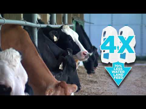 Iowa Minute: Dairy cows are providing the protein and vitamins you need, more efficiently