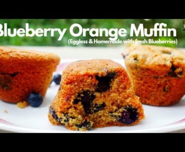 Blueberry orange muffins recipe | Fresh fruits wheat muffins | Healthy & Delicious