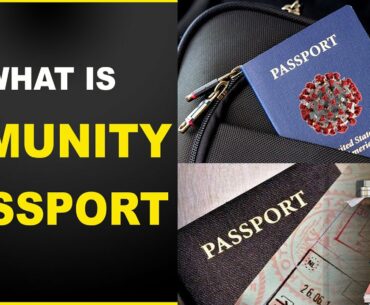 DNS: WHAT IS IMMUNITY PASSPORT?