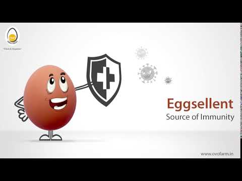 Eggsellent Source of Immunity | Ovo Farm Fresh | Ovo Eggs