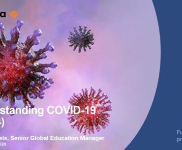 Understanding COVID 19V1 Final part 4  website v1