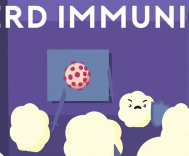 Herd Immunity and COVID 19 | When will we be Protected?