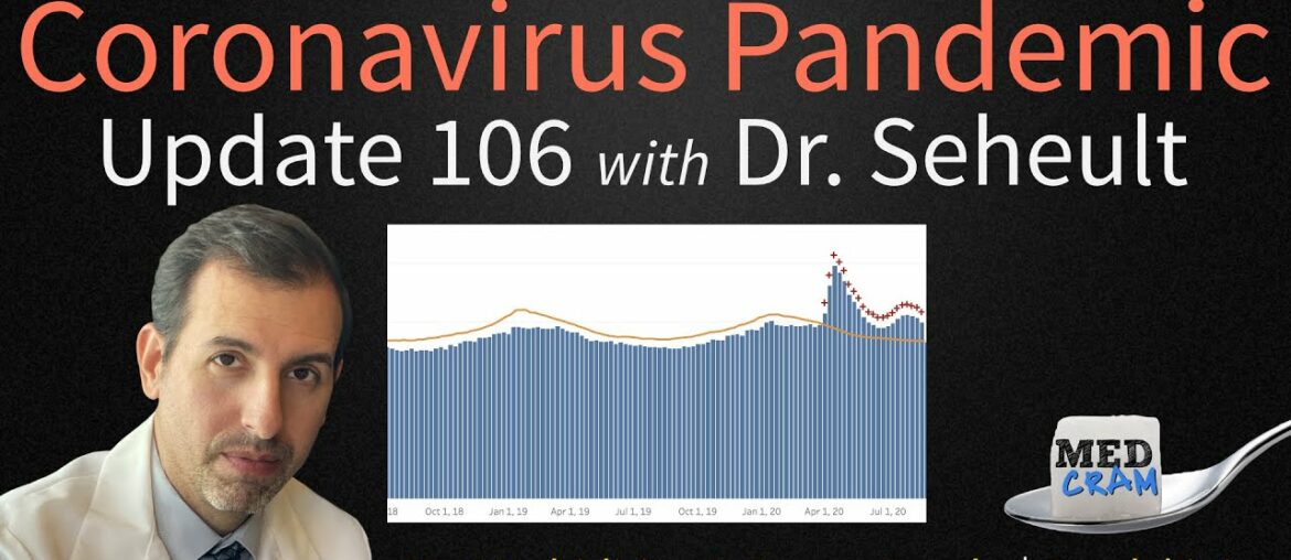 COVID 19 Update Update 106: Comorbidities and Excess Deaths; Bradykinin and Coronavirus