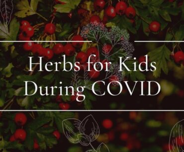 Herbs for Kids During COVID